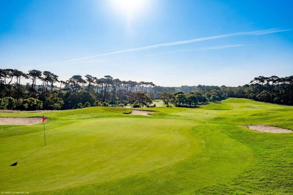 Vue Golf Dans Residence Nature "Sympalappart" モリエ・エマー エクステリア 写真