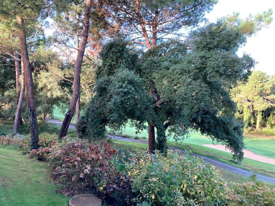 Vue Golf Dans Residence Nature "Sympalappart" モリエ・エマー エクステリア 写真